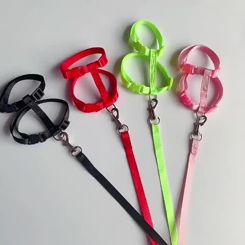 Katės antkaklis su reguliuojamu nailoniniu pavadėliu, mažų augintinių traukos diržas, kačių ir šuniukų antkaklis - Image 19