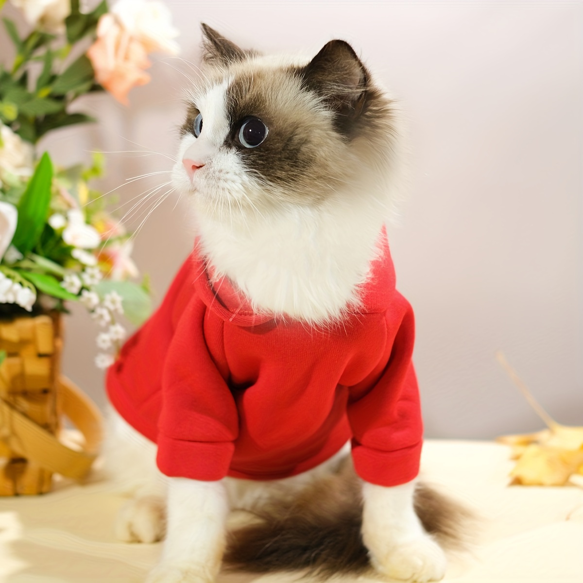 Raudona šventinė rudens/žiemos šilkinė striukė su pamušalu - Image 4