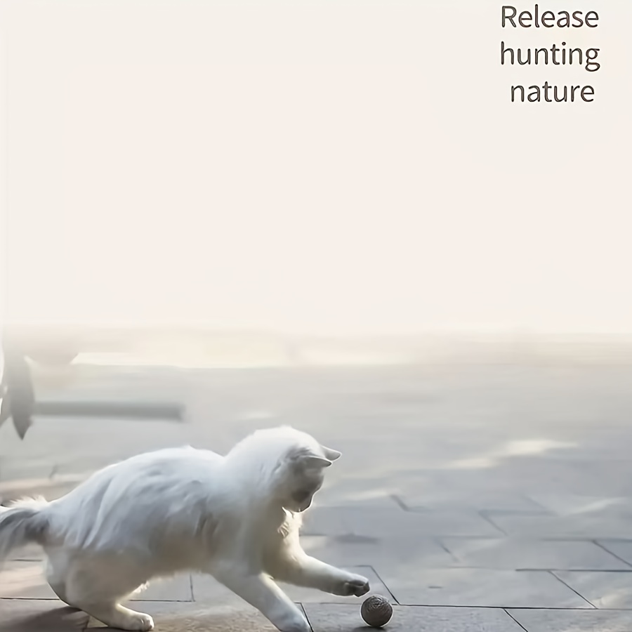 Natūralūs jutos kramtomi kamuoliukai katėms. - Image 4